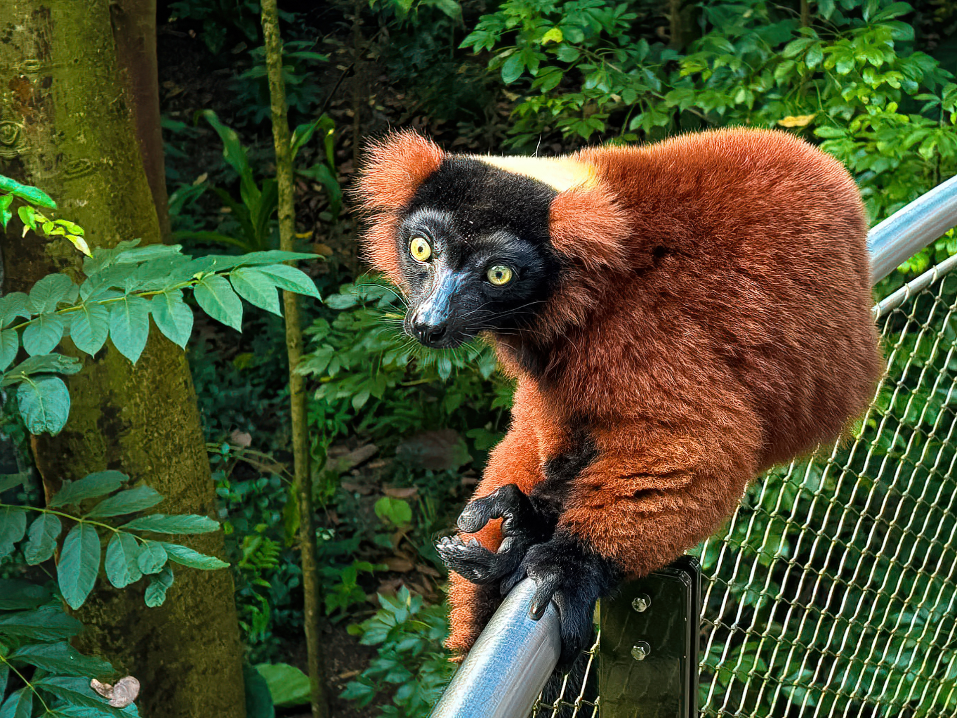 🐘 Événement d'entreprise au zoo de Zurich – Une journée placée sous le signe de la technologie, du monde animal et de l'esprit d'équipe ! 🌿
